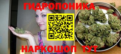 spice Мариинск