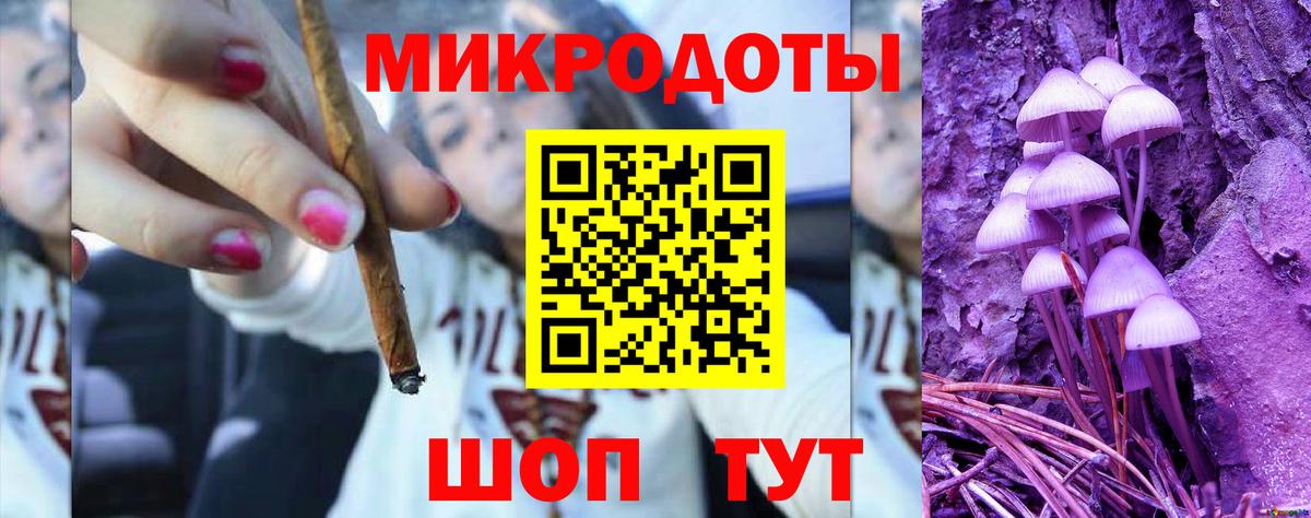 Псилоцибиновые грибы Psilocybe  Вход с VPN  Урус-Мартан 